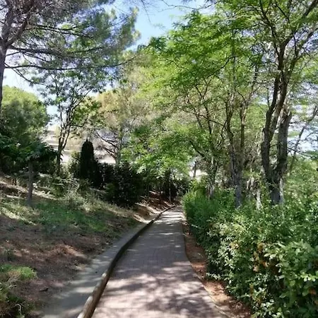 Superb Flat In A Collines D'estanove مونبيلييه